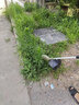 德馬哈電動(dòng)割草機家用小型除草機充電式草坪鋰電池打草機神器工具 一體無(wú)刷電機【7.5AH】二電一充 曬單實(shí)拍圖
