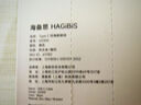 海備思（Hagibis）手機(jī)掛繩數(shù)據(jù)線充電線二合一斜挎扁線掛脖防丟type-c快充線適用mate70手機(jī)相機(jī)高級(jí)感可背可調(diào) 曬單實(shí)拍圖