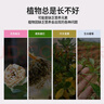 德沃多肥料 植物營養(yǎng)液通用600ml水培綠植花卉盆栽花肥料發(fā)財樹綠蘿液體肥 曬單實拍圖