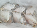 一米漁東海鯧魚新鮮冷凍白鯧魚海鮮銀鯧魚平魚海鯧魚舟山年貨禮盒年夜飯 東海白鯧魚4斤【大號(hào)約16條】 曬單實(shí)拍圖
