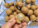 正宗儲(chǔ)良龍眼新鮮應(yīng)季水果皮薄肉厚純甜桂圓5斤順豐包郵孕婦水果T 5斤【凈重4.5斤】 實(shí)惠裝 曬單實(shí)拍圖