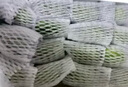 京覓丹東軟棗獼猴桃  凈重3斤 單果15g以上  新鮮水果 源頭直發(fā) 曬單實(shí)拍圖