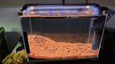 AMTRA TECHNIK德國安彩 魚(yú)缸去除油膜處理器增氧過(guò)濾除油污 除油膜過(guò)濾器 曬單實(shí)拍圖