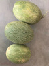 京鮮生 新疆西州蜜哈密瓜禮盒 凈重8-9斤 2-3粒   源頭直發(fā) 曬單實拍圖