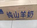 牧羊人純山羊奶250ml*24盒新鮮脫膻 經(jīng)典款家庭量販裝 營(yíng)養早餐羊奶  曬單實(shí)拍圖