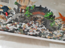 萌嘟星寵魚(yú)缸造景裝飾擺件石拱橋仿真假山樹(shù)脂躲避洞 大號 曬單實(shí)拍圖