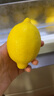 京鮮生 安岳黃檸檬16粒 單果95g-120g 生鮮水果 曬單實拍圖