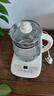 九陽（Joyoung）0膠水養(yǎng)生壺 1.5L煮茶器 玻璃花茶壺 316不銹鋼燒水壺電熱水壺 WY301 曬單實拍圖