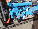 帕康（PACANT）康明斯30kw/50/100/150/200/300/500KW800千瓦柴油發(fā)電機(jī)全自動(dòng) 50kw康明斯柴油發(fā)電機(jī)組+自啟動(dòng) 曬單實(shí)拍圖
