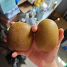 佳沛（zespri）新西蘭  陽光金奇異果巨大果22粒原箱 單果重約144-175g 獼猴桃 曬單實拍圖