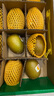 佳沛（zespri）新西蘭  陽(yáng)光金奇異果16粒禮盒經(jīng)典果單果約 77-103g 水果 獼猴桃 曬單實(shí)拍圖