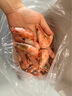 ?；蕿掣窳晏m頭籽北極甜蝦北極熊腹籽刺身特大號冰蝦元寶蝦籽蝦 金標黃腹籽90/120規格 3斤(凈重) 曬單實(shí)拍圖