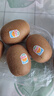 佳沛（zespri）新西蘭  陽光金果22粒原箱 單果重144-175g 獼猴桃 中秋水果禮盒 曬單實拍圖