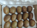 京鮮生 陜西翠香綠心獼猴桃 15粒單果80g+ 新鮮水果  源頭直發(fā) 曬單實拍圖