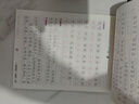 2025新 七年級(jí)上冊(cè)同步字帖 語(yǔ)文英語(yǔ)人教版練字帖初中生專(zhuān)用正版初一7上專(zhuān)用正版鋼筆練字課課練字貼中學(xué)生每日一練 【上冊(cè)】語(yǔ)文同步字帖 七年級(jí)/初中一年級(jí) 曬單實(shí)拍圖