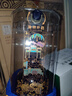 郎酒四代青花郎 醬香型白酒 莊園醬酒 53度 500mL 1瓶 曬單實(shí)拍圖