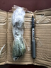 邇英閣大葉玉樹老樁盆栽多肉植物燕子掌室內(nèi)防輻射四季好養(yǎng)綠植凈 玉樹1年小苗一棵5-10CM不等 原土（不含盆）15-25CM不等 曬單實拍圖