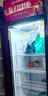 揚子（YANGZI）展示柜冷藏大容量飲料啤酒保鮮柜立式冰柜商用超市玻璃門(mén)上下機直風(fēng)冷 380單門(mén)下機丨標準基礎款【直冷】 【銅管制冷】【東貝壓縮機】 曬單實(shí)拍圖