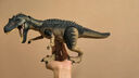 Jurassic World生日禮物侏羅紀(jì)世界哈蒙德大型收藏系列異特龍恐龍仿真模型JCG13 曬單實拍圖