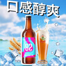 泰山啤酒泰山原漿啤酒28天鮮9度倒標(biāo)全麥芽釀造啤酒整箱450ml*6瓶 28天兩箱裝 450mL 曬單實(shí)拍圖