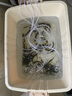 魚寧（yuning）增氧泵家用增氧機(jī)魚池養(yǎng)殖氧氣泵鋰電池交直流充電YJZ-035A 35w 曬單實拍圖