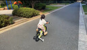 鳳凰兒童自行車單車2-3-4-6-9-10歲男孩童車中大童女孩小孩寶寶腳踏車 春意綠 14寸 曬單實拍圖