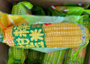 輕語(yǔ)拾光有機黑糯玉米260g*8≥5斤 甜糯黑玉米棒 花青素早餐代餐粗糧 曬單實(shí)拍圖