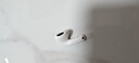 Apple/蘋(píng)果 AirPods 4(支持主動(dòng)降噪)搭配無(wú)線(xiàn)充電盒(USB-C)蘋(píng)果耳機 藍牙耳機適用iPhone/iPad 四代 曬單實(shí)拍圖