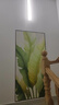燦美家（CANMEIJIA）LED燈管長(cháng)條燈超亮日光燈全套一體化三防凈化燈吸頂節能條形燈 曬單實(shí)拍圖