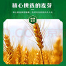 青島啤酒（TsingTao）經(jīng)典系列濃郁麥香500ml*24聽（多廠生產(chǎn)隨機(jī)發(fā)貨） 曬單實(shí)拍圖