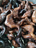 藕荷泥（OUHENI）現(xiàn)摘洪湖新鮮菱角老菱角黑菱角青菱角米新鮮粉糯湖北特產(chǎn)生鮮棱角 洪湖老菱角3斤 順豐快遞 曬單實拍圖
