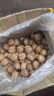 云南今年新貨野生老樹(shù)核桃紙皮薄皮孕婦黑桃薄殼干黑桃零食無(wú)漂 云南新貨薄皮核桃5斤-老品種大果 曬單實(shí)拍圖