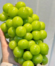 京鮮生陽光玫瑰香青提凈重4.5-5斤裝單果10g 葡萄/提子生鮮水果源頭直發(fā) 曬單實拍圖
