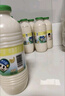 李子園【成毅同款】零蔗糖甜牛奶飲品香蕉味450ml*10瓶裝整箱 曬單實(shí)拍圖