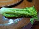 新鮮大西芹現(xiàn)割現(xiàn)發(fā)榨汁西芹首選水果西芹鮮嫩蔬菜生鮮減肥減脂 新鮮西芹2斤 曬單實拍圖