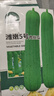 北蔬 肉絲瓜種子苗早熟菜瓜四季陽(yáng)臺(tái)蔬菜種籽 濰嫩5號(hào)肉絲瓜種子20粒 曬單實(shí)拍圖