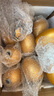新新精藝砸金蛋道具開(kāi)門(mén)紅開(kāi)業(yè)慶典禮節慶抽獎現場(chǎng)商場(chǎng)活動(dòng)金蛋15cm36個(gè)裝 曬單實(shí)拍圖