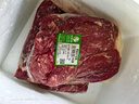 阿牧特 內(nèi)蒙古羊里脊 生鮮羊肉純瘦肉菲力 2kg（4斤） 曬單實(shí)拍圖