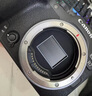 佳能（Canon）【國家補(bǔ)貼】EOS R7微單相機(jī)r7數(shù)碼照相機(jī)專微相機(jī) 佳能R7+RF-S18-150mmIS STM套機(jī) 官方標(biāo)配【不帶禮包】 曬單實(shí)拍圖
