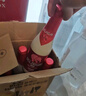 粉象（Delirium）啤酒四種口味組合 精釀啤酒 330ml*6瓶 比利時(shí)進(jìn)口 中秋送禮 曬單實(shí)拍圖