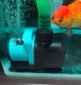 SOBO松寶變頻水泵魚(yú)缸循環(huán)抽水泵超靜音魚(yú)池過(guò)濾泵底吸泵水陸兩用外置 12W升級款超靜變頻水泵[10檔可調 曬單實(shí)拍圖