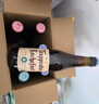 TRAPPISTES ROCHEFORT修道院系列 茜麥爾/羅斯福/智美六口味禮盒330ml*6瓶 聚會送禮 曬單實拍圖