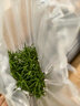 花翁盆栽可食用百里香香草植物香料 大盆迷迭香（浪琴瓷盆）源頭直發(fā) 曬單實(shí)拍圖