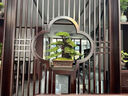 迎客松盆景真樹盆景造型小型辦公室盆栽擺件玄關(guān)室內(nèi)客廳四季常青 七片凌云含紫砂盆（打木架發(fā)貨） 曬單實拍圖