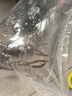 活泥鰍 戶(hù)外垂釣釣魚(yú)專(zhuān)用餌料飼料魚(yú)本地金鰍鮮活淡水烏龜龍魚(yú)飼料活體泥鰍批發(fā) 2-4厘米泥鰍100條 曬單實(shí)拍圖