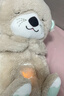 費雪（Fisher-Price）嬰兒玩具安撫玩偶哄睡生日禮物-音樂(lè )安撫酣睡小水獺GHL41 曬單實(shí)拍圖