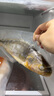 1號會(huì )員店【山姆同廠(chǎng)】冷凍寧德三去大黃魚(yú) 黃花魚(yú) 凈重700g/2條裝 水產(chǎn)魚(yú) 曬單實(shí)拍圖