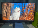 KTC 24.5英寸260Hz升降旋轉(zhuǎn)FastIPS原生240Hz廣色域HDR400亮度顯示屏電腦顯示器國家補(bǔ)貼H25T7-3代 曬單實(shí)拍圖