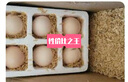 貴州谷物鮮雞蛋精選大蛋柴雞蛋農(nóng)家散養(yǎng)柴雞蛋笨雞蛋50g/枚 谷殼包裝當(dāng)天鮮雞蛋30枚50g/枚 曬單實(shí)拍圖