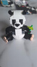 樂(lè )高（LEGO）積木拼裝31165 野生動(dòng)物熊貓家族男孩女孩兒童玩具生日禮物 曬單實(shí)拍圖